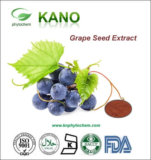 Grape Seed Extract OPC